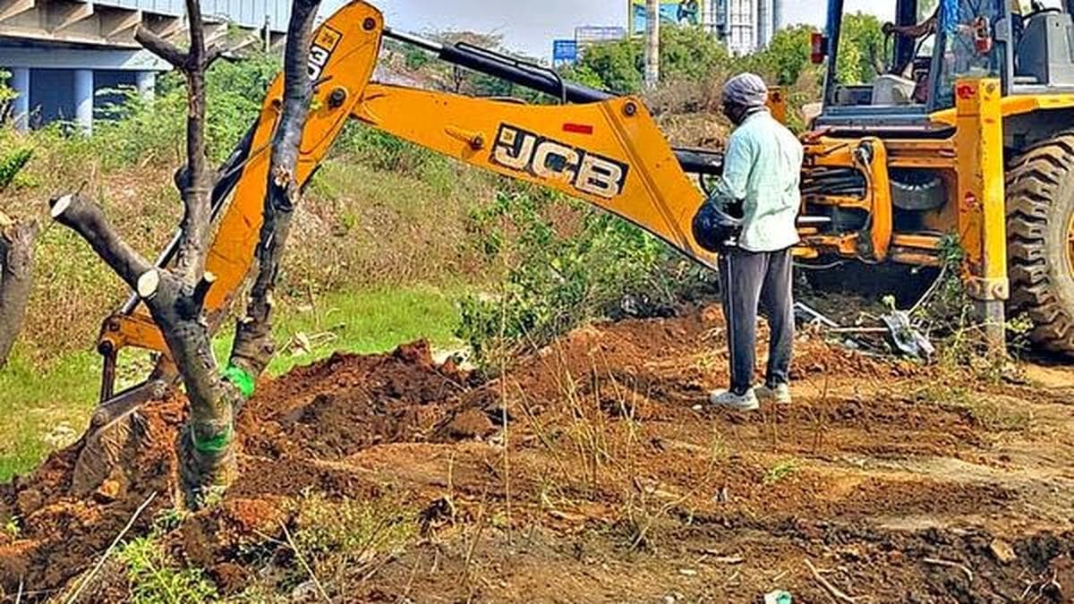 Mass relocation of trees near KBR Park sparks fresh environmental concerns
