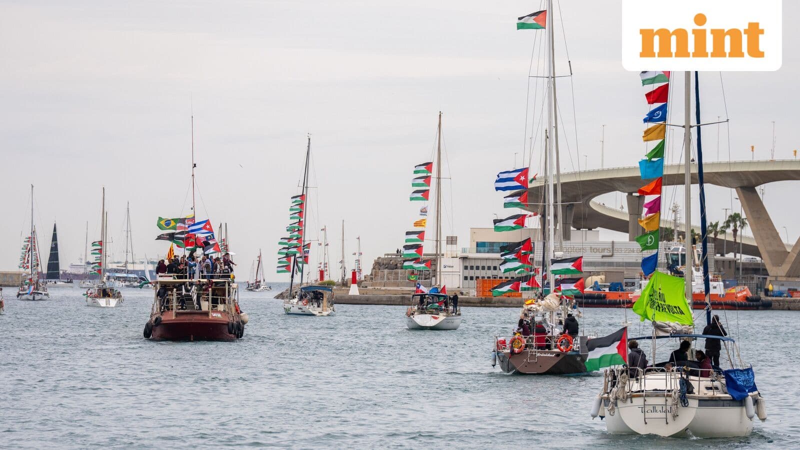 Sexual misconduct allegations surface onboard Flotilla mission, leader Thiago Avila named in report