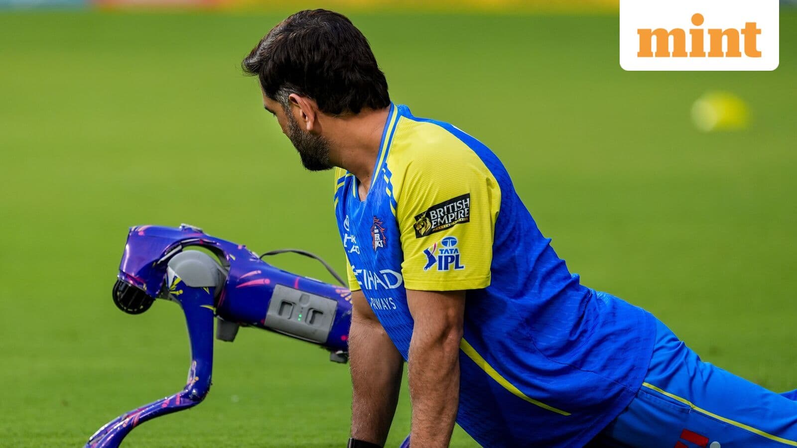 MS Dhoni's heartfelt video playing with IPL robot dog Champak wins hearts | Watch